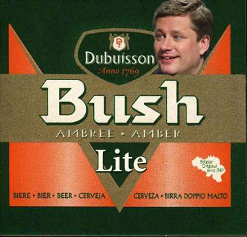 bush lite