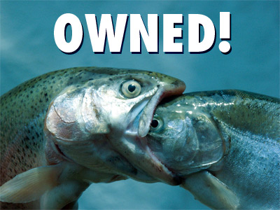 fish owned